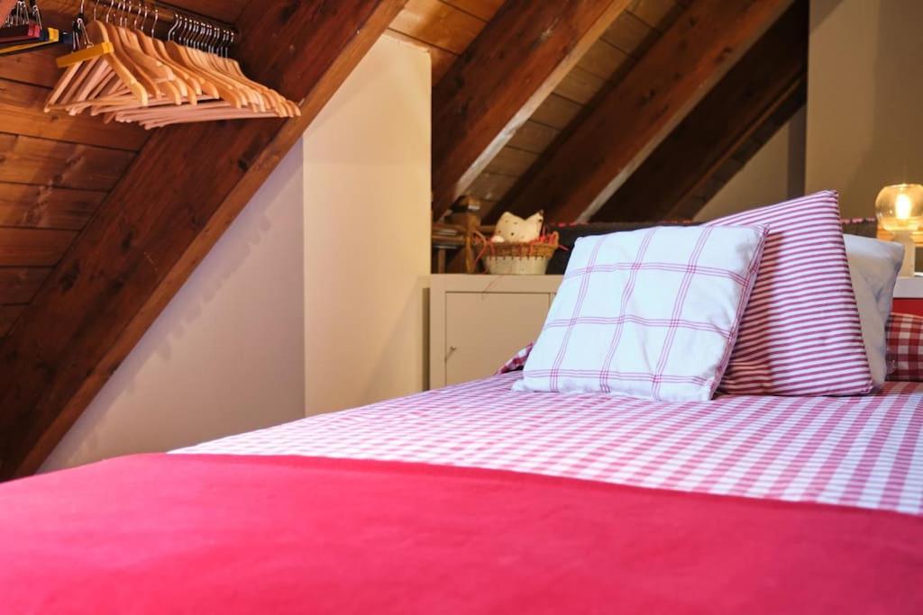 Ferienwohnung Atico Duplex Garaje Y Wifi Gratis Panticosa Exterior foto